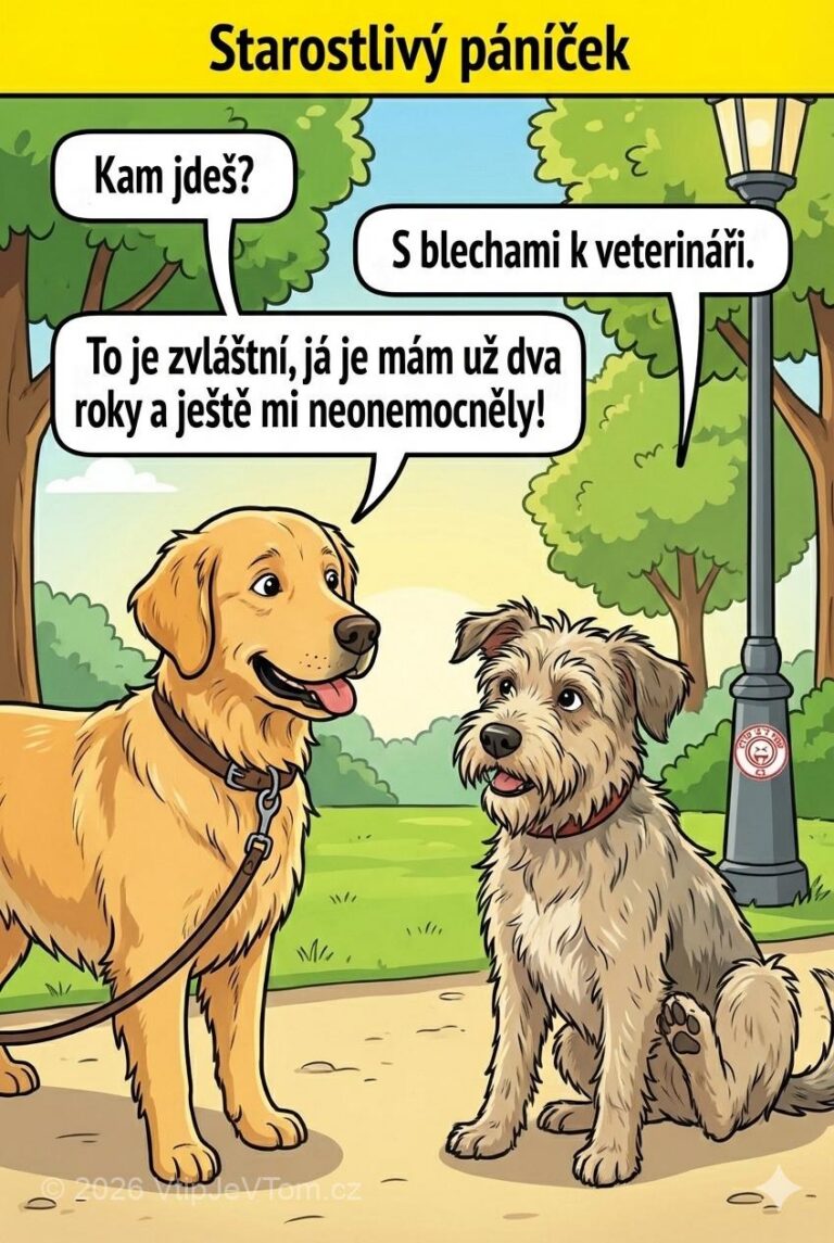Starostlivý pániček - Potkají se dva psi a jeden říká: „Kam jdeš?“Druhý: „S...