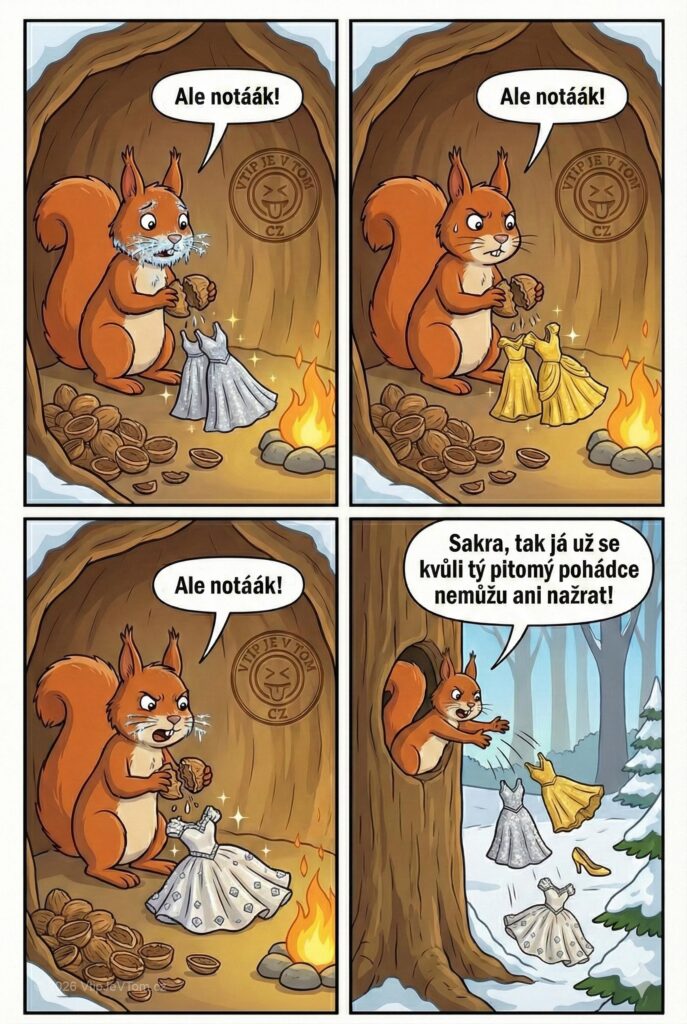 Veverka louská oříšky - Veverka na začátku zimy louská poslední oříšky, úplně hladová, konečně...