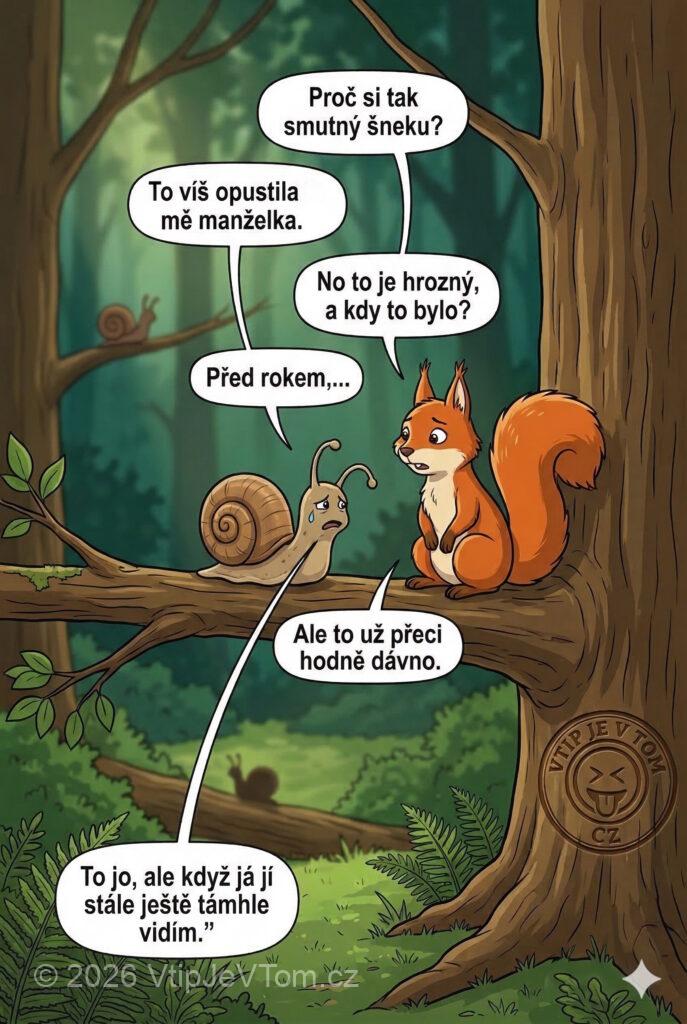 Dlouhodobý rozchod Dlouhodobý rozchod - Sedí smutný šnek na větvi. Přijde k němu veverka a...