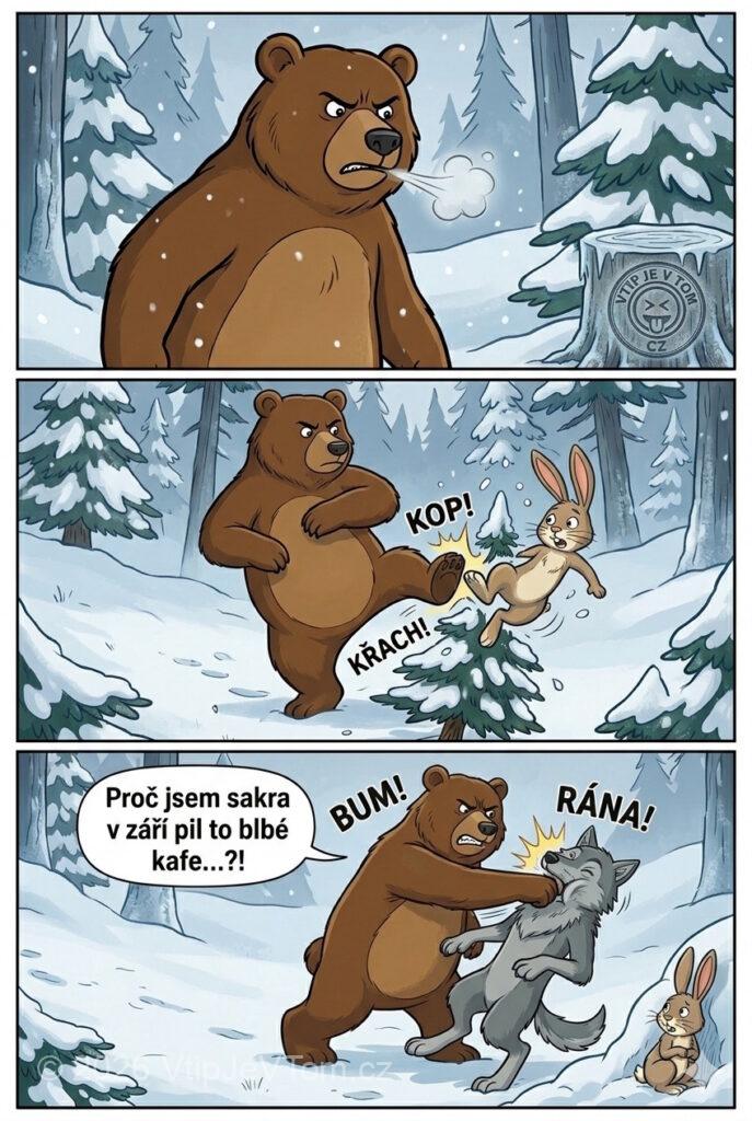 Medvěd nemůže v zimě spát - Strašně naštvaný medvěd chodí po lese. Všude okolo sníh, mrzne...