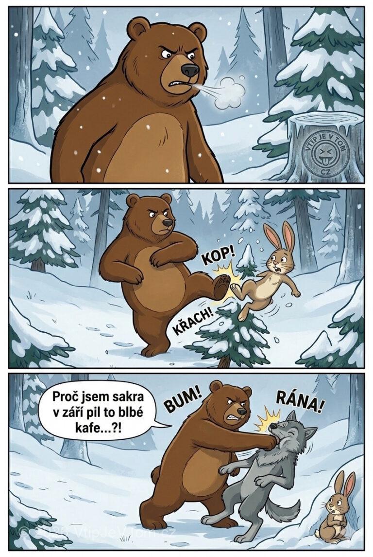 Medvěd nemůže v zimě spát - Strašně naštvaný medvěd chodí po lese. Všude okolo sníh, mrzne...