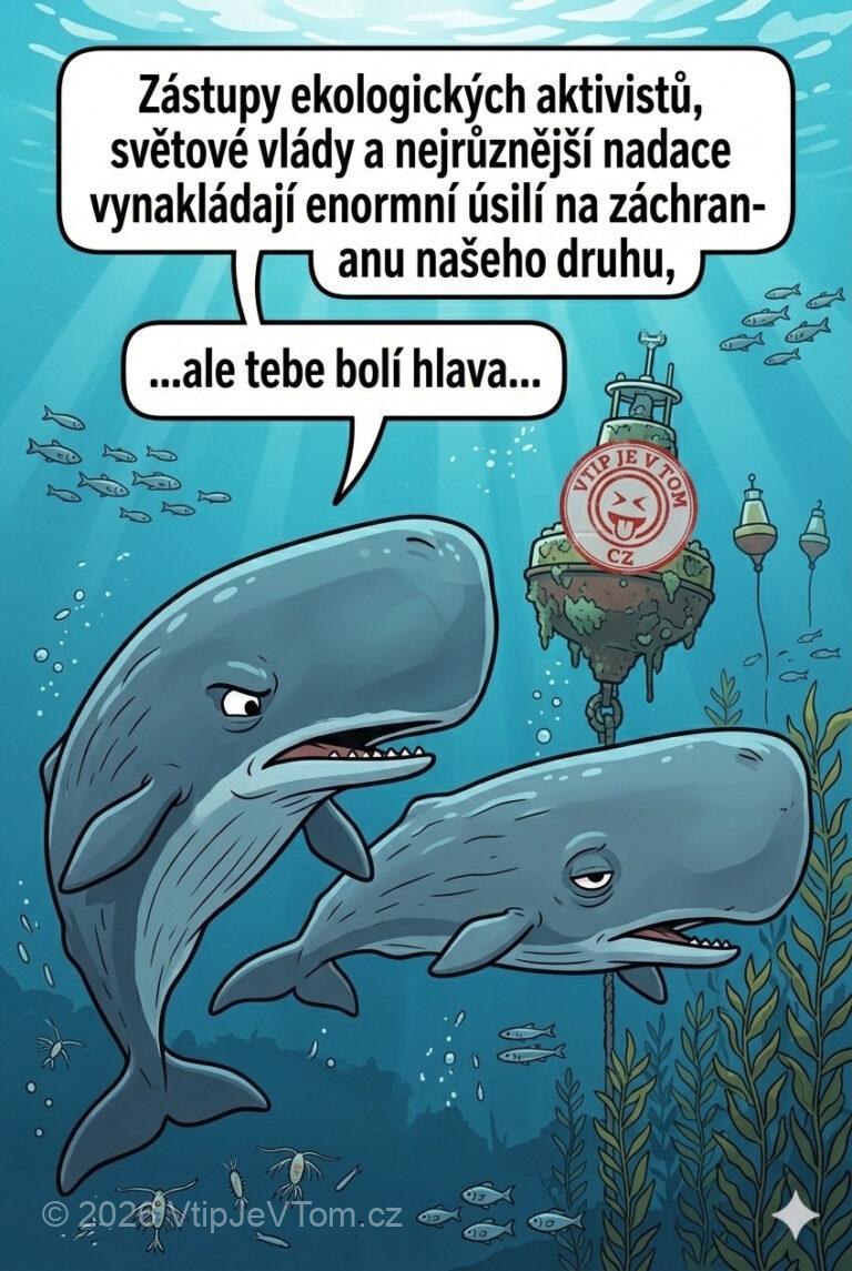 Velrybí migréna Velrybí migréna - Velrybí samec plave kolem své polovičky a nadává: „Zástupy ekologických...