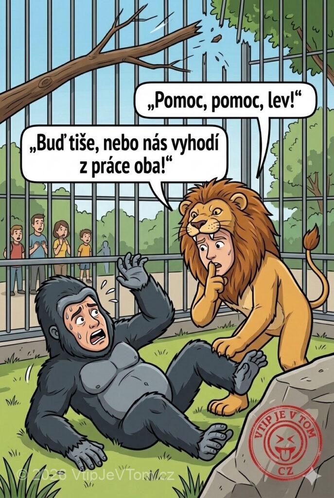 Záskok v ZOO Záskok v ZOO - V zoo zemřela stará gorila. Mladý náhradník měl dorazit do...