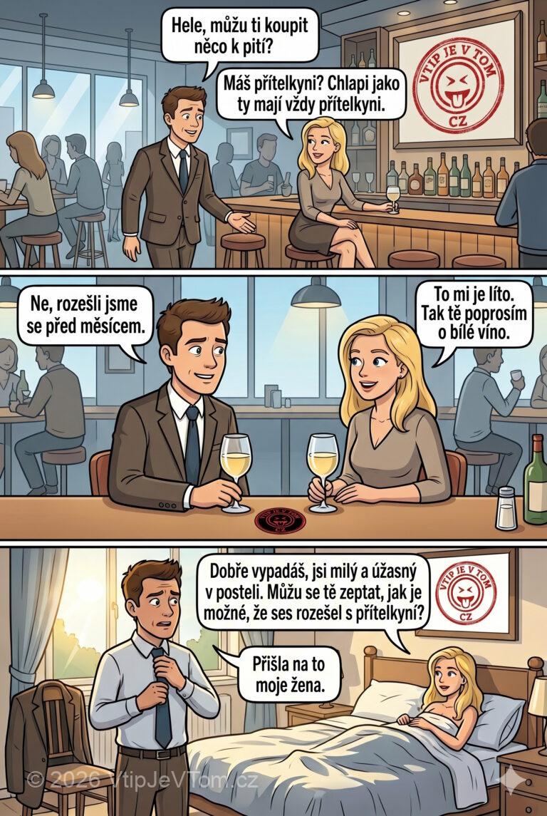 Chlápek balí kočku v baru Chlápek balí kočku v baru - Chlápek přistoupil ke kočce u baru: "Můžu ti koupit něco...